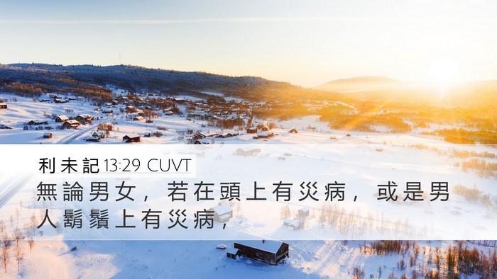 利 未 記 13:29 CUVT Bible Verse Image