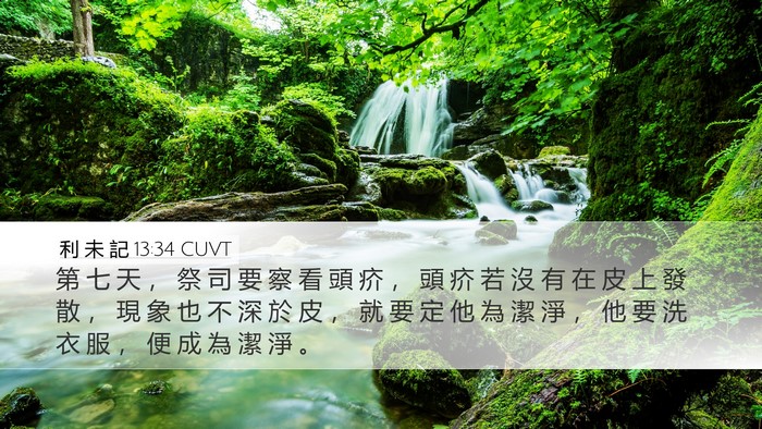 利 未 記 13:34 CUVT Bible Verse Image