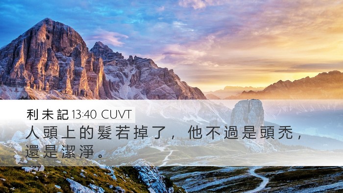利 未 記 13:40 CUVT Desktop Wallpaper - 人 頭 上 的 髮 若 掉 了 ， 他 不 過 - Desktop Bible Verse Wallpaper