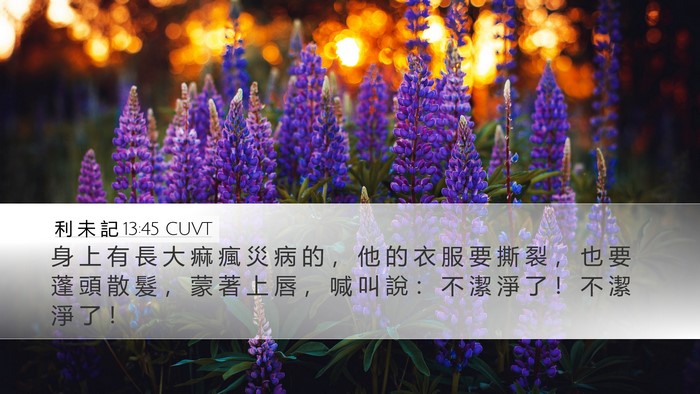 利 未 記 13:45 CUVT Bible Verse Image