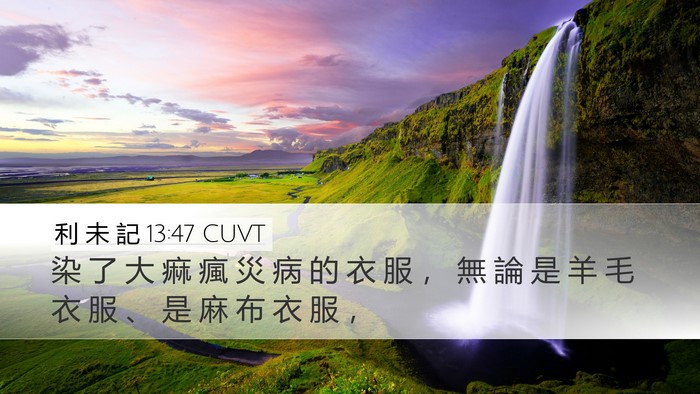 利 未 記 13:47 CUVT Desktop Wallpaper - 染 了 大 痲 瘋 災 病 的 衣 服 ， 無 - Desktop Bible Verse Wallpaper