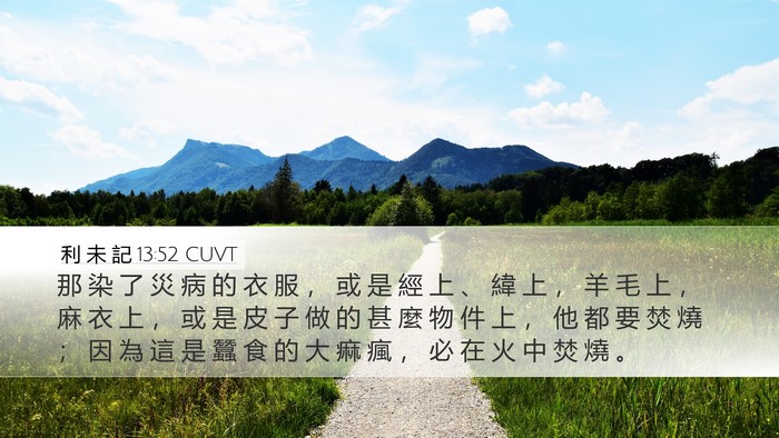 利 未 記 13:52 CUVT Desktop Wallpaper - 那 染 了 災 病 的 衣 服 ， 或 是 經 - Desktop Bible Verse Wallpaper