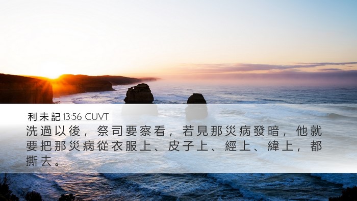 利 未 記 13:56 CUVT Desktop Wallpaper - 洗 過 以 後 ， 祭 司 要 察 看 ， 若 - Desktop Bible Verse Wallpaper