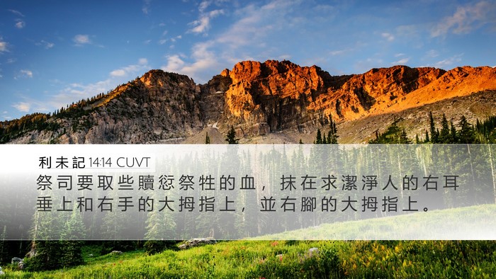 利 未 記 14:14 CUVT Bible Verse Image