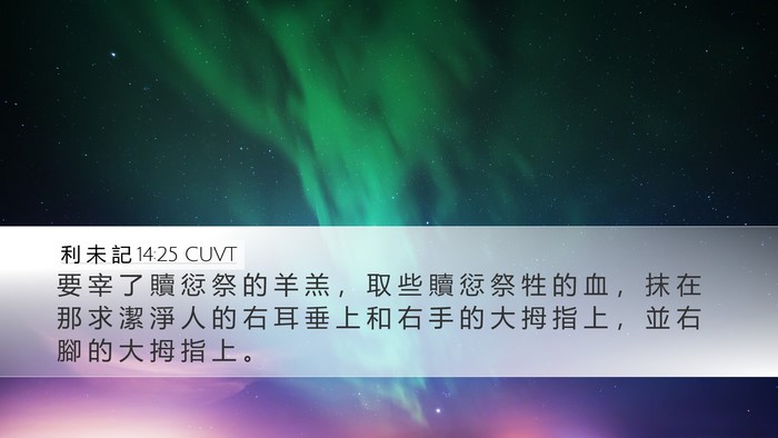利 未 記 14:25 CUVT Desktop Wallpaper - 要 宰 了 贖 愆 祭 的 羊 羔 ， 取 些 - Desktop Bible Verse Wallpaper