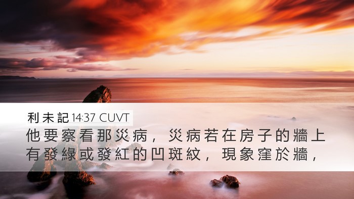 利 未 記 14:37 CUVT Desktop Wallpaper - 他 要 察 看 那 災 病 ， 災 病 若 在 - Desktop Bible Verse Wallpaper