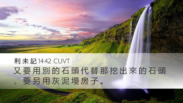 利 未 記 14:42 CUVT Desktop Wallpaper - 又 要 用 別 的 石 頭 代 替 那 挖 出 - Desktop Bible Verse Wallpaper