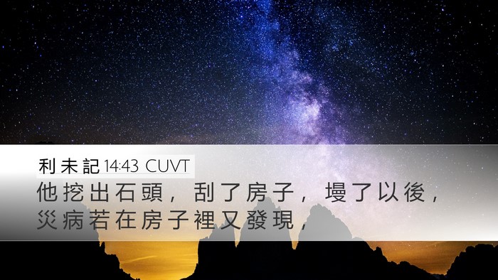 利 未 記 14:43 CUVT Desktop Wallpaper - 他 挖 出 石 頭 ， 刮 了 房 子 ， 墁 - Desktop Bible Verse Wallpaper