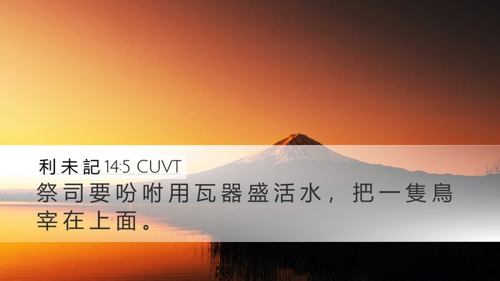 利 未 記 14:5 CUVT Desktop Wallpaper - 祭 司 要 吩 咐 用 瓦 器 盛 活 水 ， - Desktop Bible Verse Wallpaper