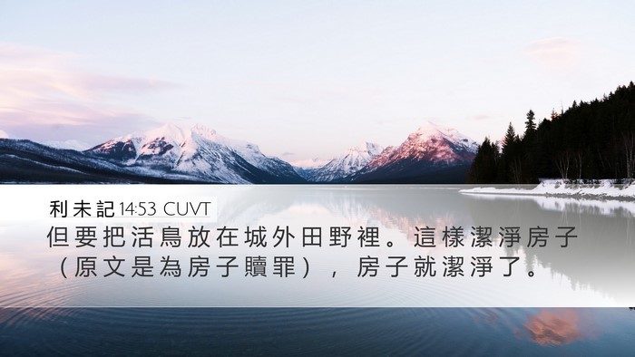 利 未 記 14:53 CUVT Desktop Wallpaper - 但 要 把 活 鳥 放 在 城 外 田 野 裡 - Desktop Bible Verse Wallpaper