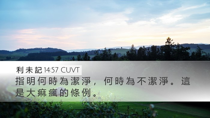 利 未 記 14:57 CUVT Desktop Wallpaper - 指 明 何 時 為 潔 淨 ， 何 時 為 不 - Desktop Bible Verse Wallpaper