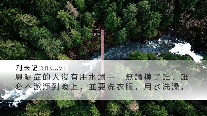 利 未 記 15:11 CUVT Desktop Wallpaper - 患 漏 症 的 人 沒 有 用 水 涮 手 ， - Desktop Bible Verse Wallpaper