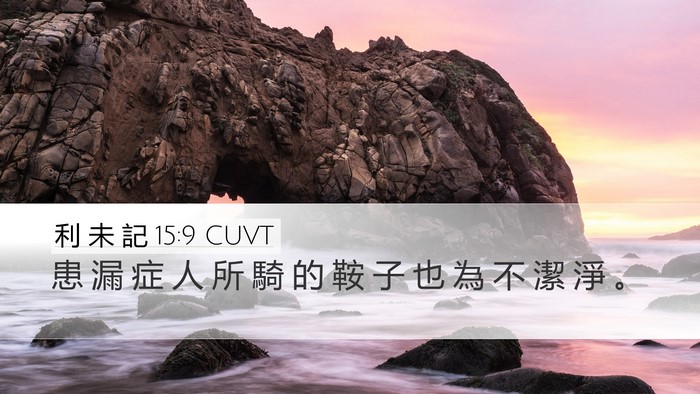 利 未 記 15:9 CUVT Desktop Wallpaper - 患 漏 症 人 所 騎 的 鞍 子 也 為 不 - Desktop Bible Verse Wallpaper