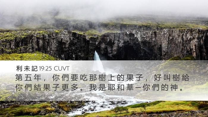 利 未 記 19:25 CUVT Desktop Wallpaper - 第 五 年 ， 你 們 要 吃 那 樹 上 的 - Desktop Bible Verse Wallpaper