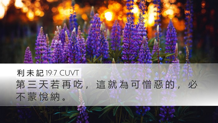 利 未 記 19:7 CUVT Bible Verse Image