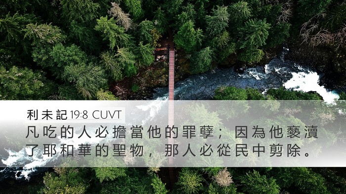 利 未 記 19:8 CUVT Desktop Wallpaper - 凡 吃 的 人 必 擔 當 他 的 罪 孽 ； - Desktop Bible Verse Wallpaper
