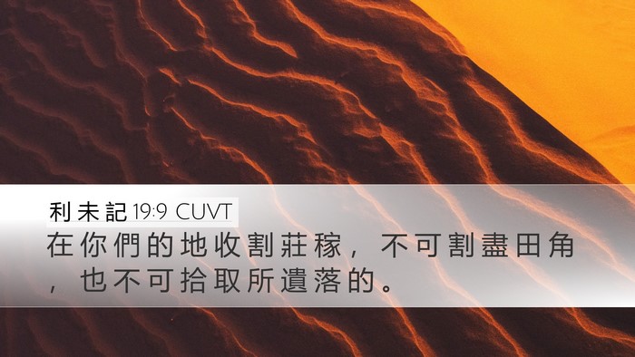 利 未 記 19:9 CUVT Desktop Wallpaper - 在 你 們 的 地 收 割 莊 稼 ， 不 可 - Desktop Bible Verse Wallpaper
