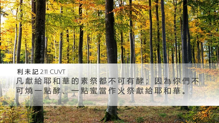 利 未 記 2:11 CUVT Desktop Wallpaper - 凡 獻 給 耶 和 華 的 素 祭 都 不 可 - Desktop Bible Verse Wallpaper