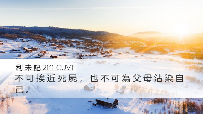 利 未 記 21:11 CUVT Desktop Wallpaper - 不 可 挨 近 死 屍 ， 也 不 可 為 父 - Desktop Bible Verse Wallpaper
