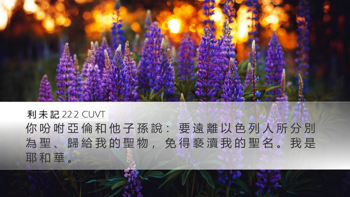 利 未 記 22:2 CUVT Desktop Wallpaper - 你 吩 咐 亞 倫 和 他 子 孫 說 ： 要 - Desktop Bible Verse Wallpaper