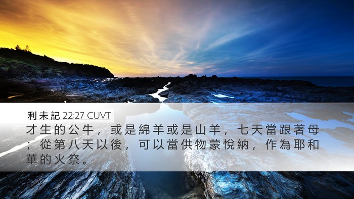 利 未 記 22:27 CUVT Desktop Wallpaper - 才 生 的 公 牛 ， 或 是 綿 羊 或 是 - Desktop Bible Verse Wallpaper
