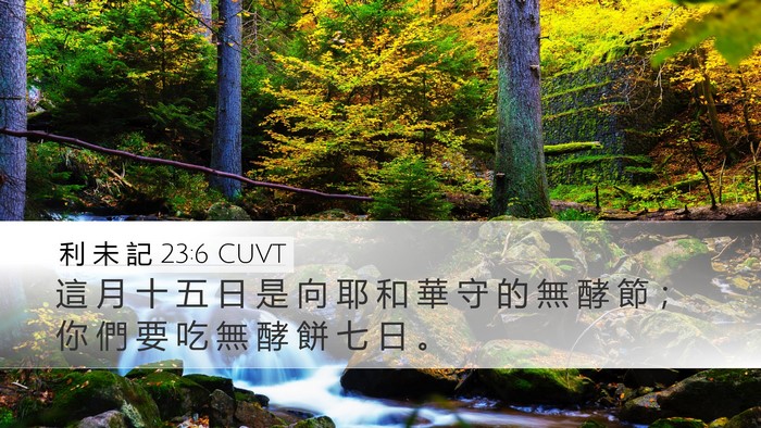 利 未 記 23:6 CUVT Bible Verse Image