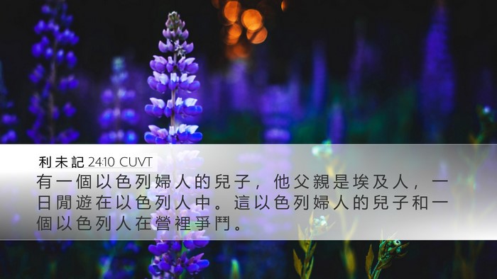 利 未 記 24:10 CUVT Desktop Wallpaper - 有 一 個 以 色 列 婦 人 的 兒 子 ， - Desktop Bible Verse Wallpaper