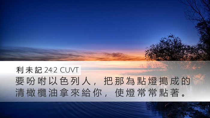 利 未 記 24:2 CUVT Bible Verse Image