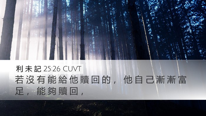 利 未 記 25:26 CUVT Desktop Wallpaper - 若 沒 有 能 給 他 贖 回 的 ， 他 自 - Desktop Bible Verse Wallpaper