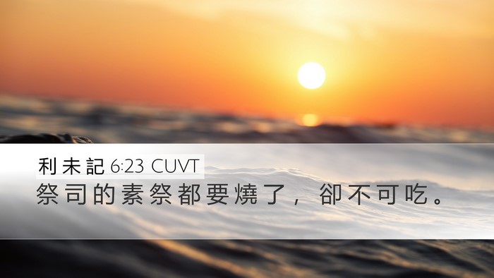利 未 記 6:23 CUVT Desktop Wallpaper - 祭 司 的 素 祭 都 要 燒 了 ， 卻 不 - Desktop Bible Verse Wallpaper