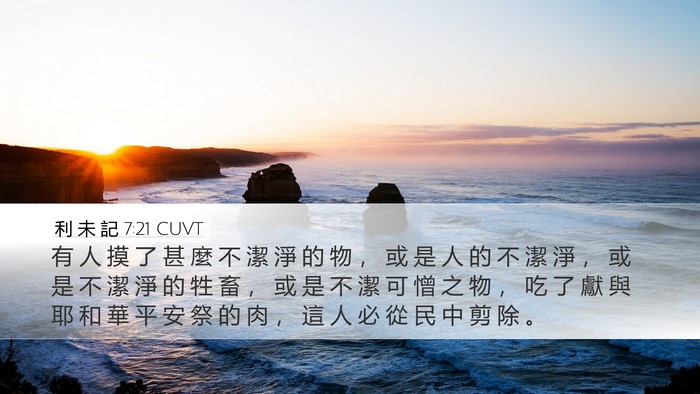 利 未 記 7:21 CUVT Desktop Wallpaper - 有 人 摸 了 甚 麼 不 潔 淨 的 物 ， - Desktop Bible Verse Wallpaper