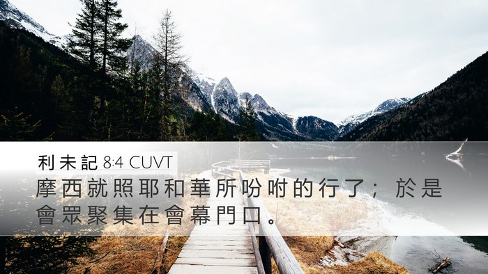 利 未 記 8:4 CUVT Desktop Wallpaper - 摩 西 就 照 耶 和 華 所 吩 咐 的 行 - Desktop Bible Verse Wallpaper