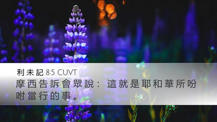 利 未 記 8:5 CUVT Desktop Wallpaper - 摩 西 告 訴 會 眾 說 ： 這 就 是 耶 - Desktop Bible Verse Wallpaper