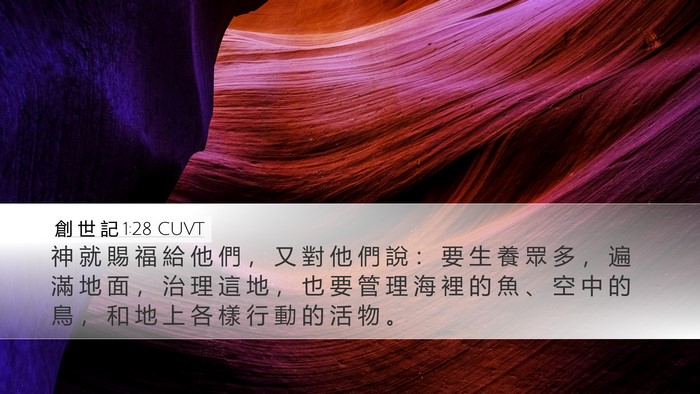 創 世 記 1:28 CUVT Bible Verse Image