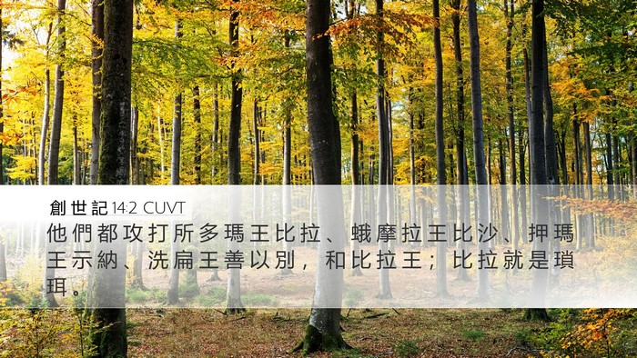 創 世 記 14:2 CUVT Bible Verse Image