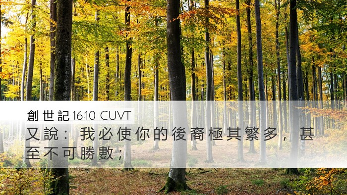 創 世 記 16:10 CUVT Bible Verse Image