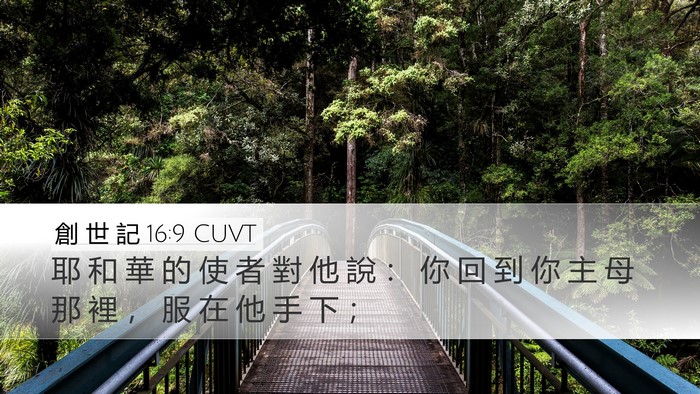 創 世 記 16:9 CUVT Bible Verse Image
