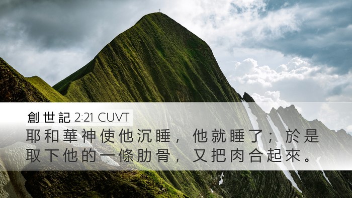 創 世 記 2:21 CUVT Bible Verse Image
