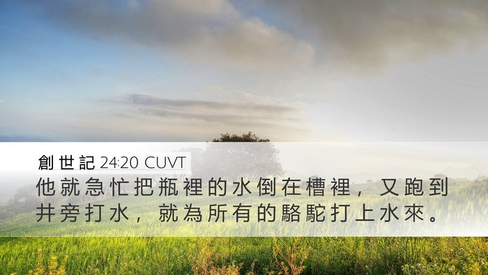 創 世 記 24:20 CUVT Desktop Wallpaper - 他 就 急 忙 把 瓶 裡 的 水 倒 在 槽 - Desktop Bible Verse Wallpaper