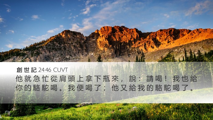 創 世 記 24:46 CUVT Desktop Wallpaper - 他 就 急 忙 從 肩 頭 上 拿 下 瓶 來 - Desktop Bible Verse Wallpaper