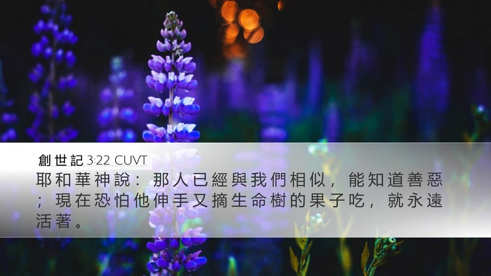 創 世 記 3:22 CUVT Bible Verse Image