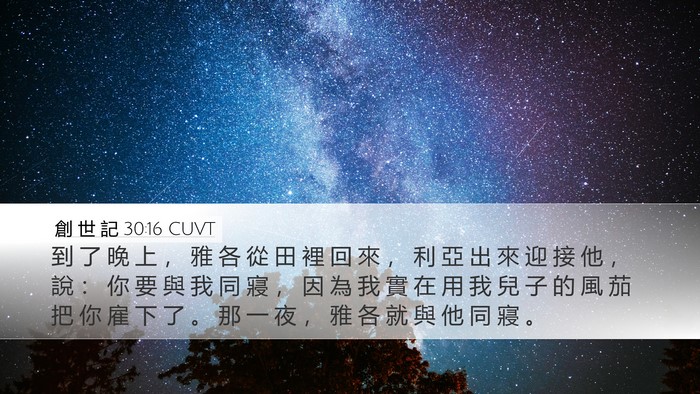 創 世 記 30:16 CUVT Desktop Wallpaper - 到 了 晚 上 ， 雅 各 從 田 裡 回 來 - Desktop Bible Verse Wallpaper
