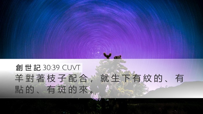 創 世 記 30:39 CUVT Bible Verse Image