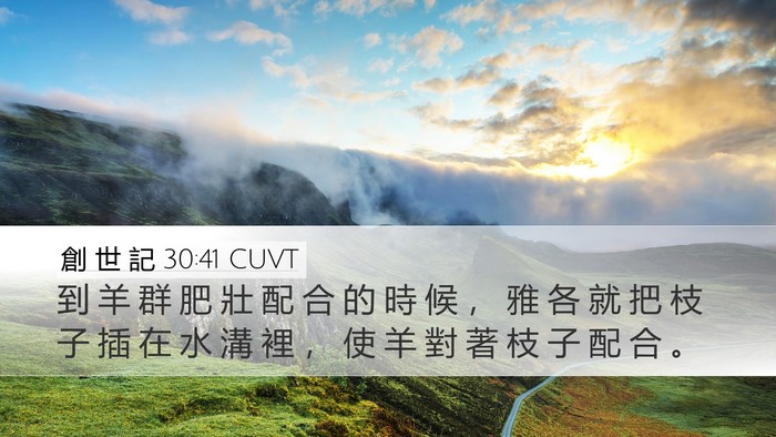 創 世 記 30:41 CUVT Desktop Wallpaper - 到 羊 群 肥 壯 配 合 的 時 候 ， 雅 - Desktop Bible Verse Wallpaper