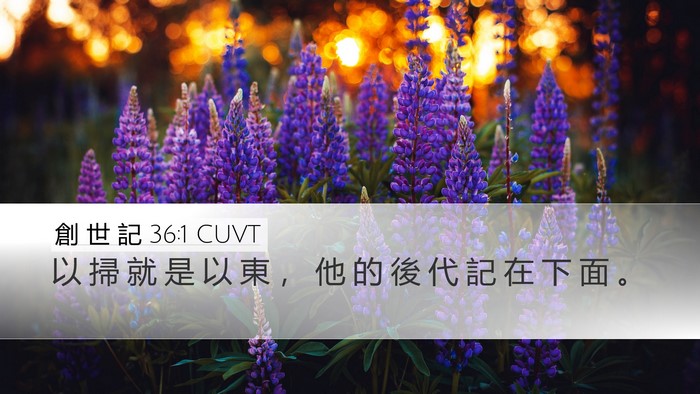 創 世 記 36:1 CUVT Desktop Wallpaper - 以 掃 就 是 以 東 ， 他 的 後 代 記 - Desktop Bible Verse Wallpaper