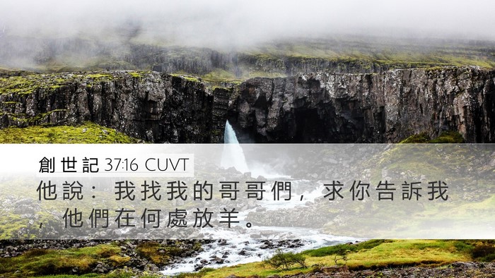創 世 記 37:16 CUVT Desktop Wallpaper - 他 說 ： 我 找 我 的 哥 哥 們 ， 求 - Desktop Bible Verse Wallpaper