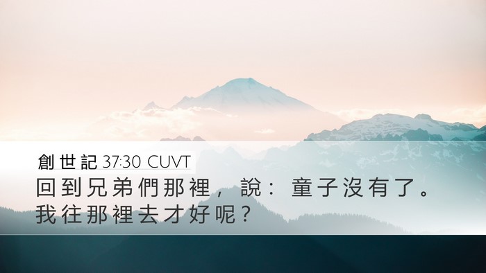 創 世 記 37:30 CUVT Bible Verse Image
