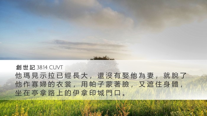 創 世 記 38:14 CUVT Bible Verse Image
