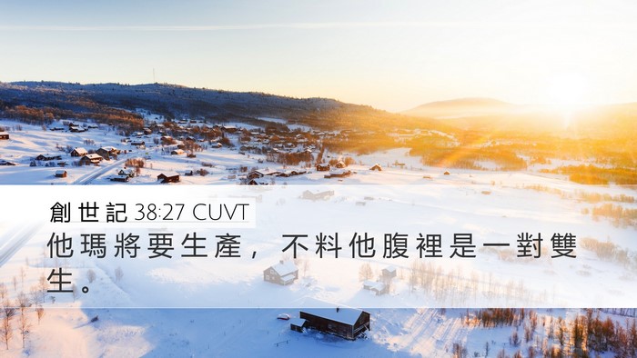 創 世 記 38:27 CUVT Desktop Wallpaper - 他 瑪 將 要 生 產 ， 不 料 他 腹 裡 - Desktop Bible Verse Wallpaper