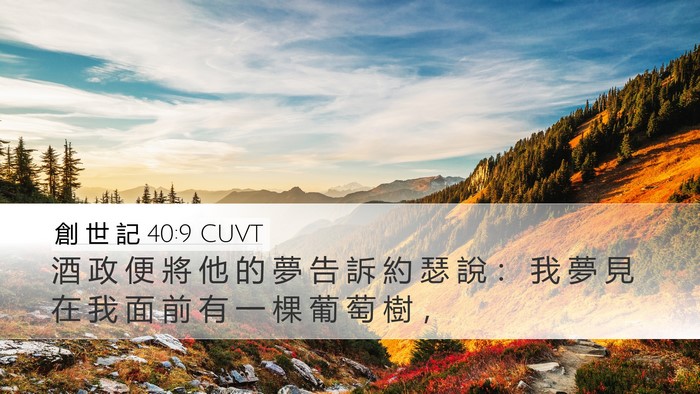 創 世 記 40:9 CUVT Desktop Wallpaper - 酒 政 便 將 他 的 夢 告 訴 約 瑟 說 - Desktop Bible Verse Wallpaper
